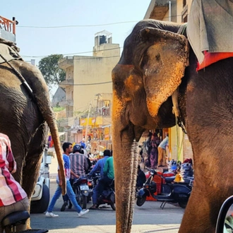 tourhub | Panda Experiences | Rural Rajasthan 