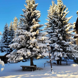 tourhub | Visit Bulgaria On | Private 2-day Trip with Snowshoes 