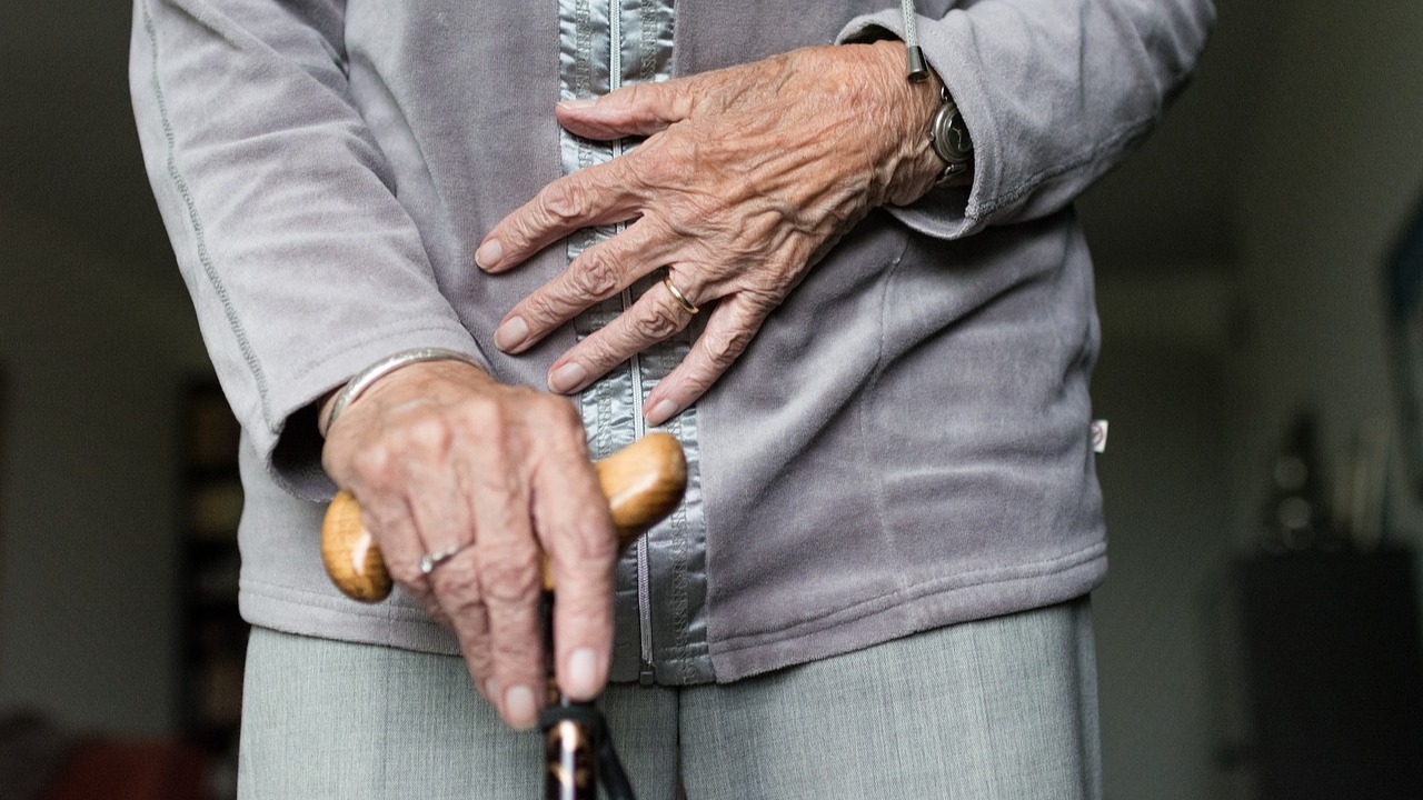 Représentation de la formation : Accompagner une personne atteinte de la maladie de Parkinson - INTRA