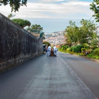 tourhub | Travel Department | Highlights of Madeira 