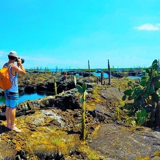 tourhub | Rebecca Adventure Travel | 7-Day Galapagos Island Hopping Tour: Tortuga Bay, Tintoreras, Wildlife Watching 
