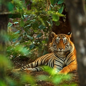 tourhub | Wild Frontiers | India: Across The Ganges To Varanasi 