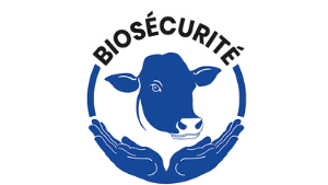 Représentation de la formation : Biosécurité en élevages bovins