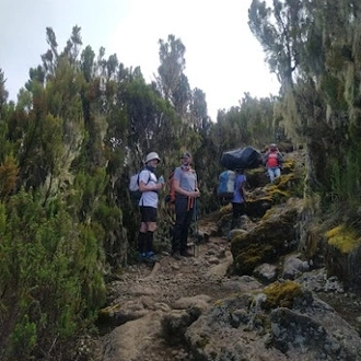 tourhub | Spider Tours And Safaris | Mount Kilimanjaro Climbing Via Lemosho Route 8 Days 