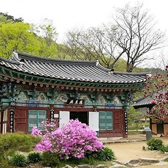 tourhub | Bamba Travel | South Korea Highlights 7D/6N 