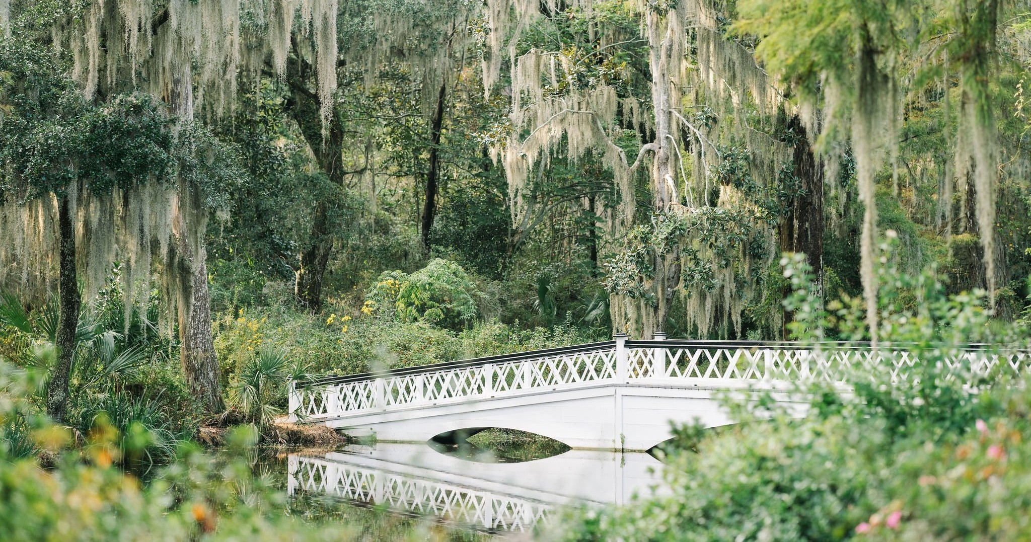 Magnolia Planation & Gardens