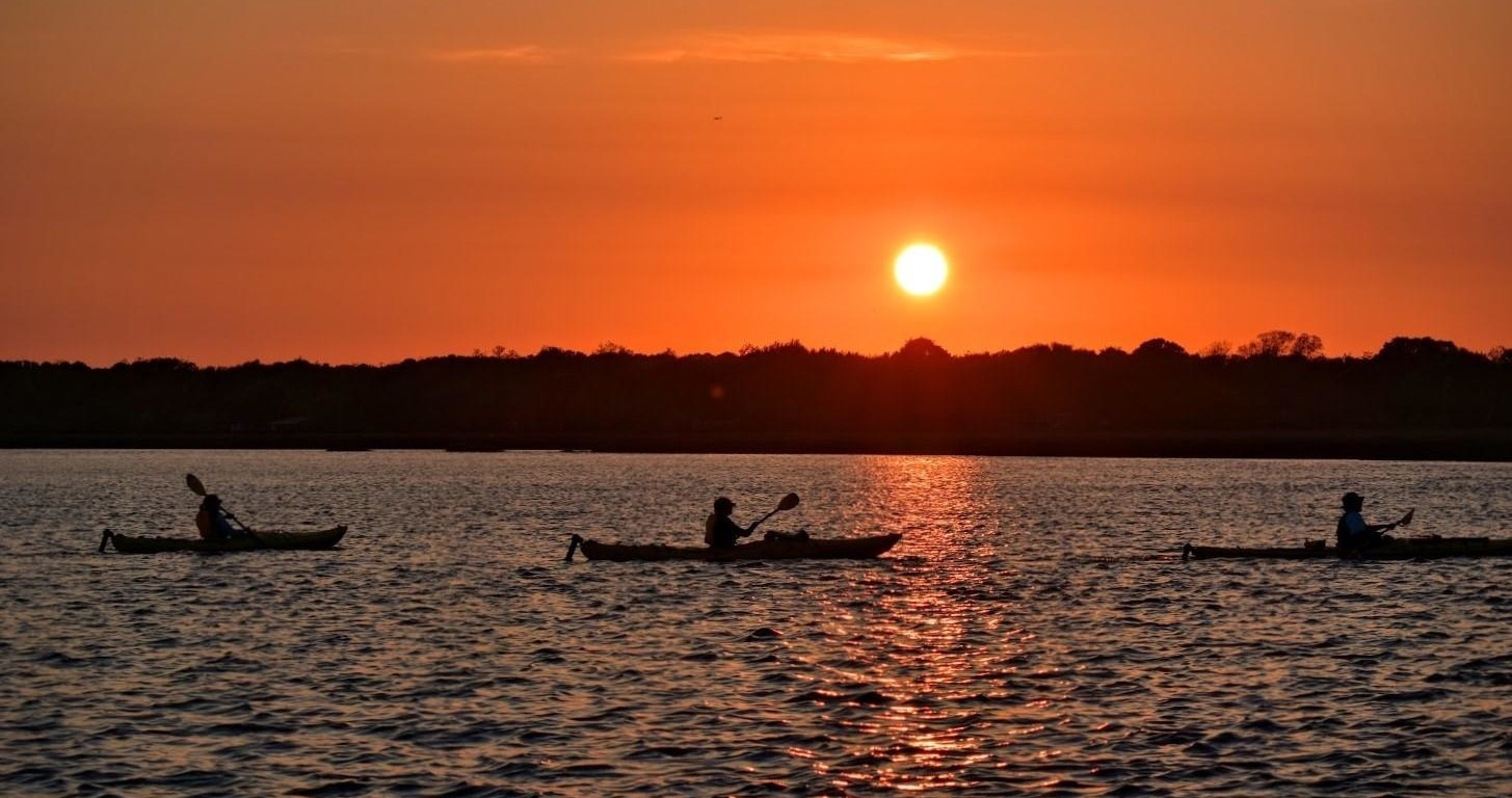 Marsh Kayaking Tour - 2 Hours