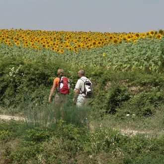 tourhub | Exodus Adventure Travels | Volterra to San Gimignano Walk 