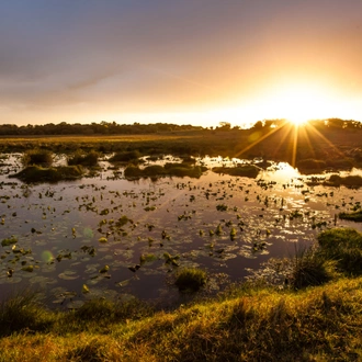 tourhub | Exodus Adventure Travels | Southern Africa Safari: Kruger & Coast 