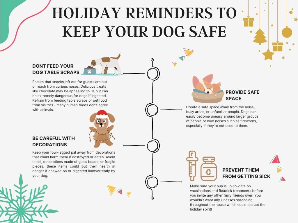Not to Feed Your Dog on the Holidays