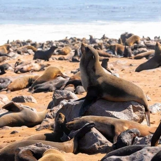 tourhub | Wild Frontiers | Namibia: Sands of Time 