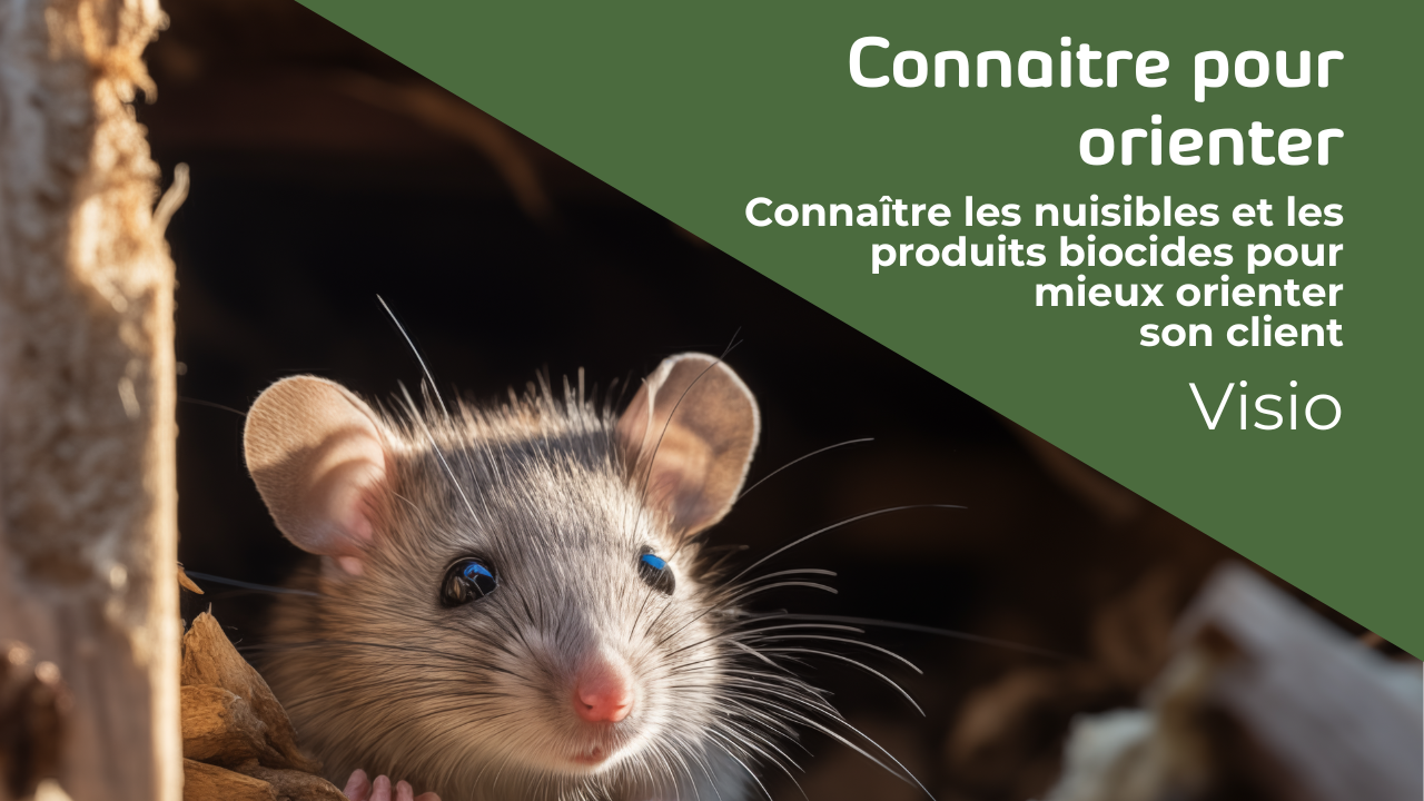 Représentation de la formation : CONNAITRE LES NUISIBLES ET LES PRODUITS BIOCIDES POUR MIEUX ORIENTER SON CLIENT