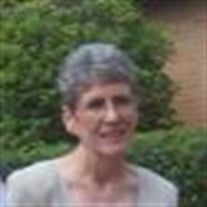 Mrs. Mary Ann Murphy Profile Photo