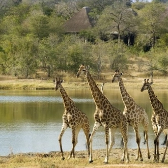 tourhub | Jossec Tours and Safaris | 3 DAY MASAI MARA SAFARI ADVENTURE . 