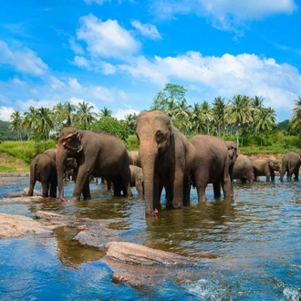 tourhub | Explore Vacations | Holidays in Sri Lanka 