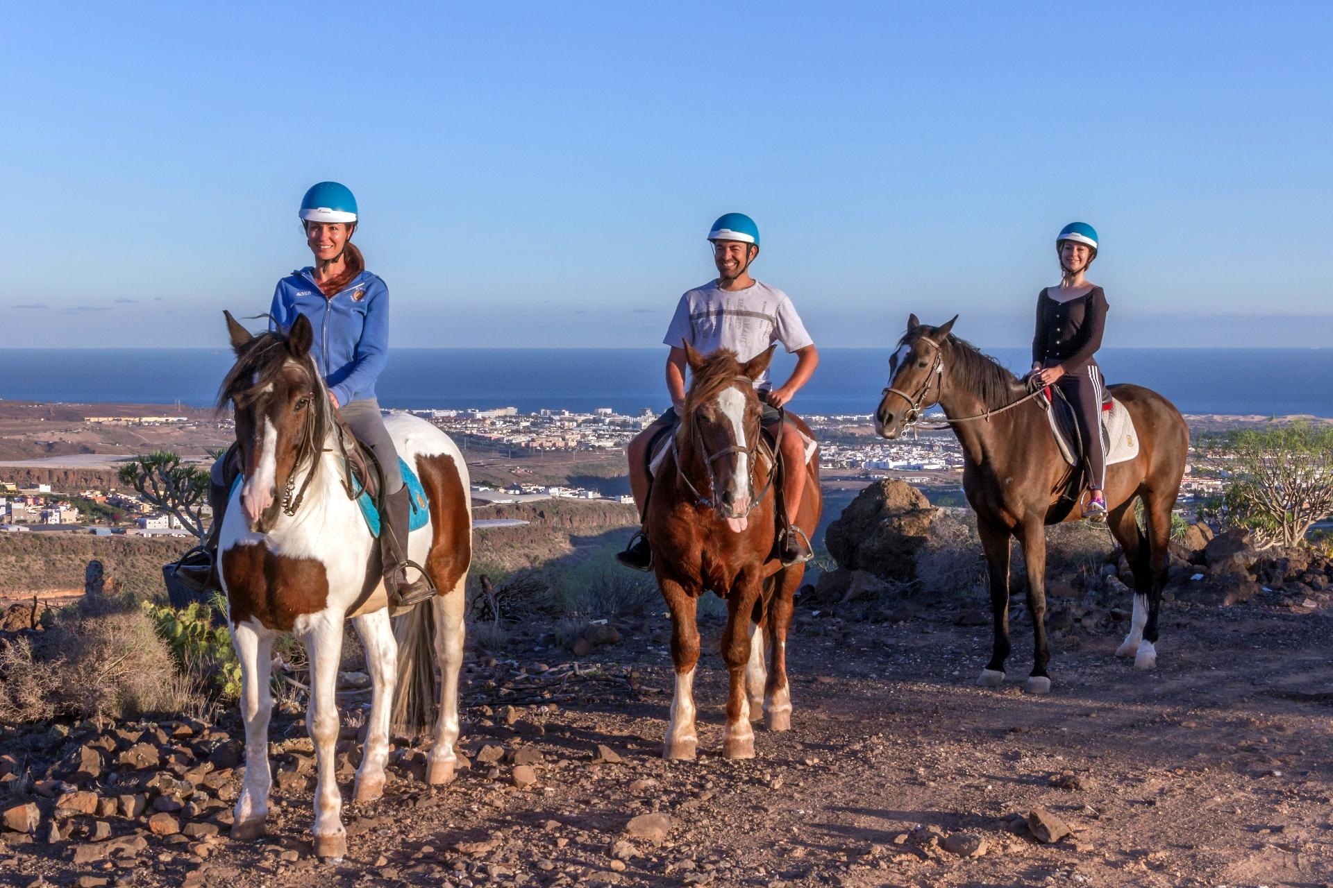 Paseo a caballo con transporte incluído - 1 Hora