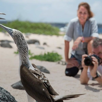 tourhub | G Adventures | The Galápagos: Wildlife of Santa Cruz & Isabela Islands 