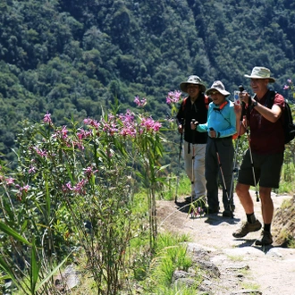 tourhub | TreXperience | Huchuy Qosqo trek to Machu Picchu 3D/2N 