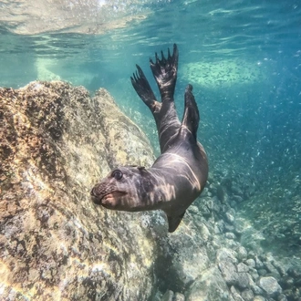 tourhub | Today Voyages | Southern Baja California 