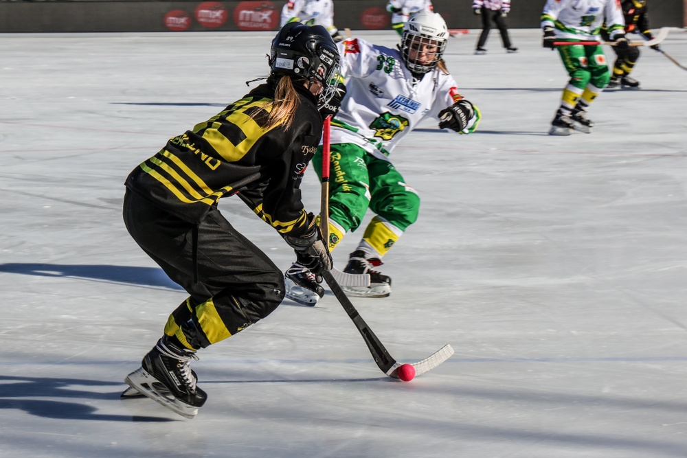 Bild från Damfinalen i bandy 2019. Foto: Malin Kellhorn