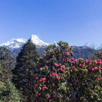 tourhub | Exodus Adventure Travels | Walking Annapurna Foothills - Privately Guided 