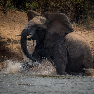 tourhub | Exodus Adventure Travels | Zambezi Canoe Safari 