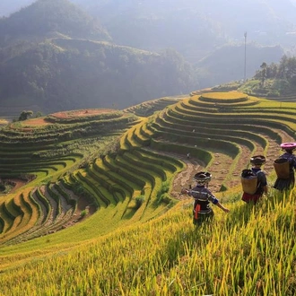 tourhub | G Adventures | North & Central Vietnam: Hanoi, Hoi An & Countryside Adventures 