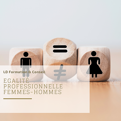 Représentation de la formation : Egalité professionnelle femmes-hommes