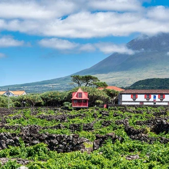 tourhub | Intrepid Travel | Highlights of the Azores 