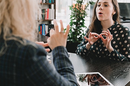 Représentation de la formation : LA LANGUE DES SIGNES... APPRENDRE LA PENSEE VISUELLE !