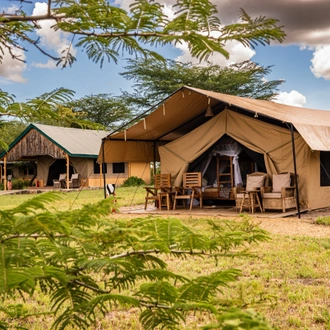 tourhub | Beach and Safari Holidays | Serengeti N.P.: 2 Full-Day Game Drives + Walking Safari + Night Drive 