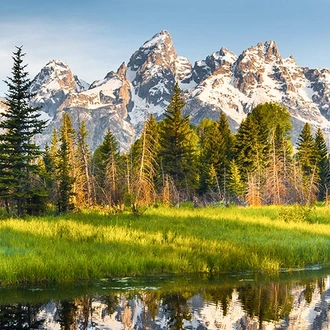 tourhub | Intrepid Travel | Yellowstone and Grand Tetons Adventure 