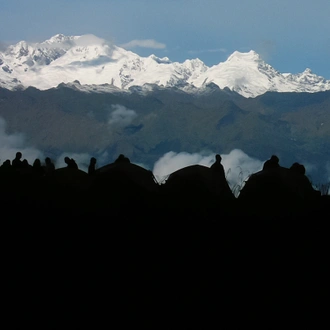 tourhub | G Adventures | Trekking the Inca Trail: 4D/3N 