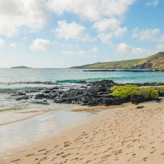 tourhub | Explore! | Galapagos - Central, South & East Islands aboard the Archipel I 