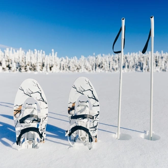 tourhub | Nordic Unique Travels | 5-Day Wild Lapland Experience 