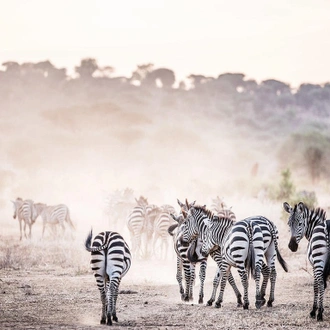 tourhub | Alaitol Safari | Tanzania: Serengeti to Zanzibar 