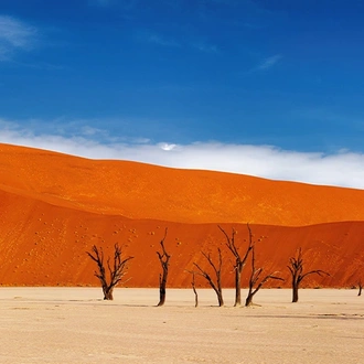 tourhub | Intrepid Travel | Premium Namibia 