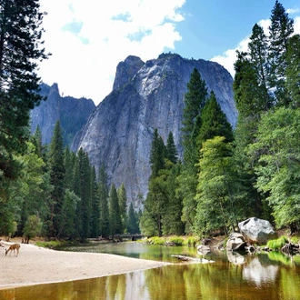 tourhub | Intrepid Travel | Best of California's National Parks 