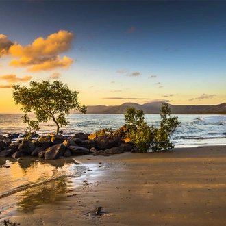 tourhub | Intrepid Travel | Best of Cairns, Great Barrier Reef & Daintree  