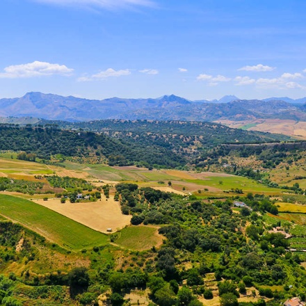 Andalucia landscape