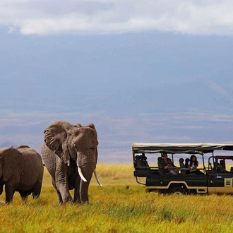 tourhub | Gracepatt Ecotours Kenya | 7 Days Breathtaking Kenya Wildlife Private Safari  