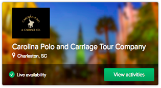 Carolina Polo and Carriage Tour Company