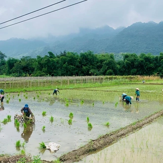 tourhub | SpiceRoads Cycling | Road Cycling Hanoi to Hoi An 