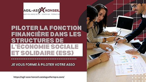 Représentation de la formation : Piloter la fonction financière dans les structures de l'Économie Sociale et Solidaire (ESS)