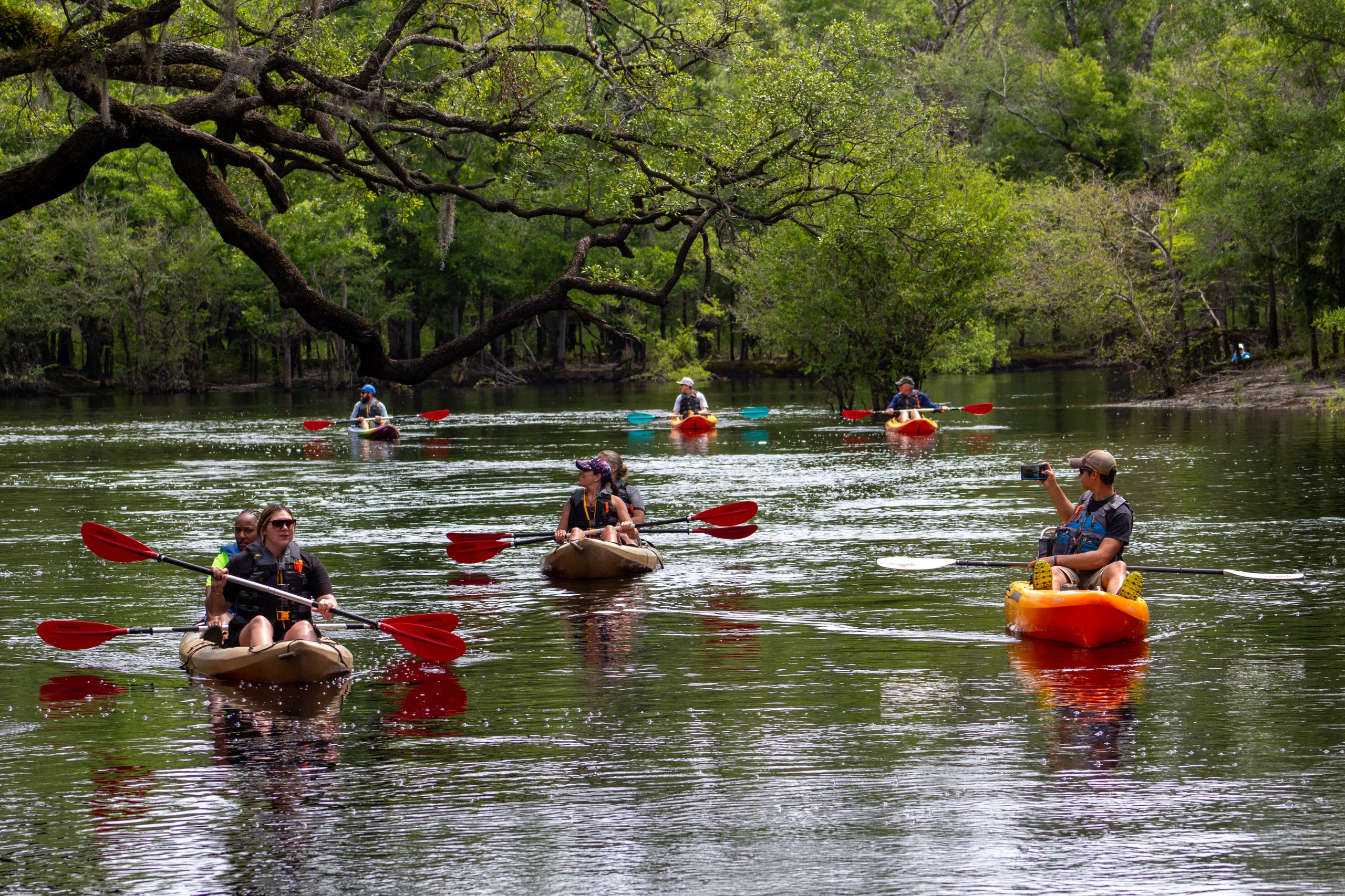 Kayak Island Tour