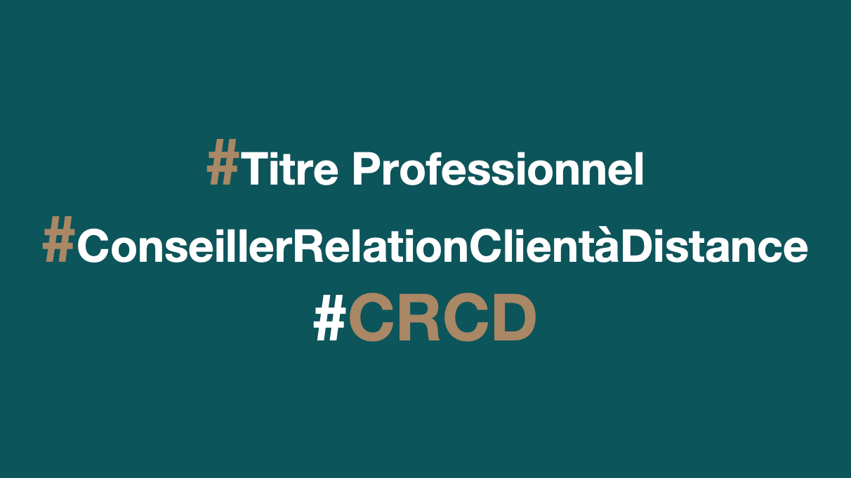 Représentation de la formation : Titre Professionnel Conseiller Relation Client à Distance