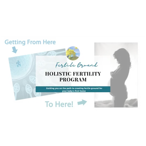 Holistic Fertility Program