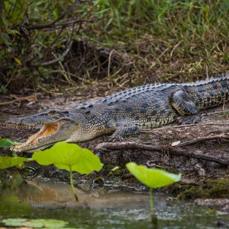 tourhub | Intrepid Travel | Kakadu, Katherine & Litchfield Family Adventure 