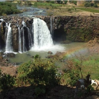 tourhub | World Expeditions | Ethiopia Simien Mountains and Beyond 