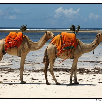 tourhub | Today Voyages | PRIVATE TOUR - Majestic Mara / Beach - LUXURY OPTION 